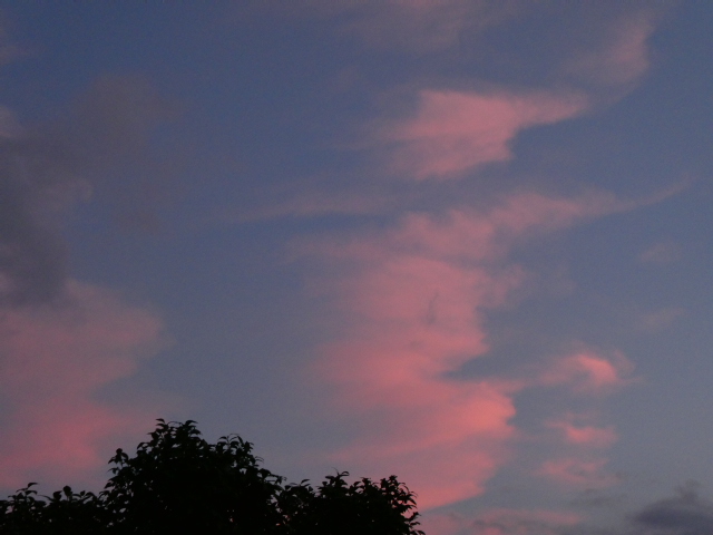夕方の模様