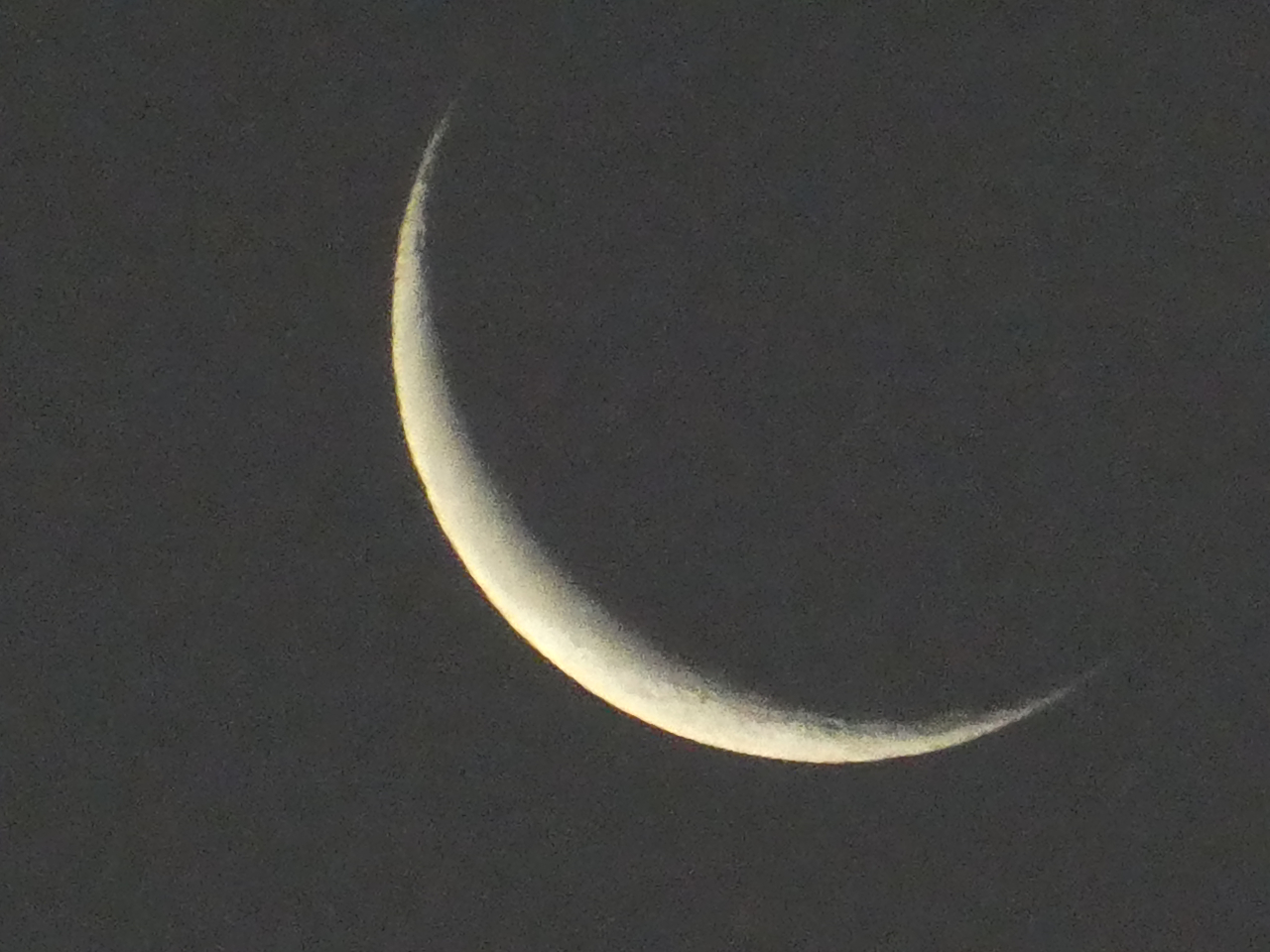 12月17日のお月さま